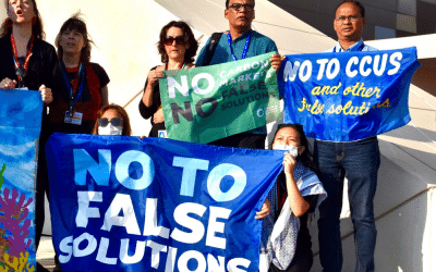 Japón planea desechar el dióxido de carbono capturado en países del Sur Global