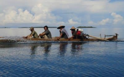 Proteger la biodiversidad costera y marina frente a la geoingeniería