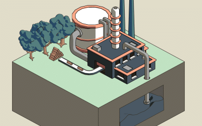 Bioenergía con captura y almacenamiento de carbono